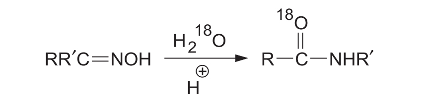 Isotope Labelling in Beckmann Rearrangement