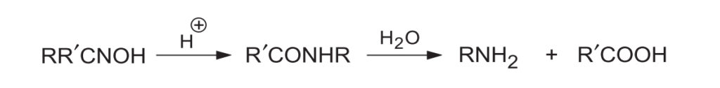 Hydrolysis of Amide
